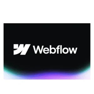 Webflow – 1 Year CMS Plan Subscription (Voucher)